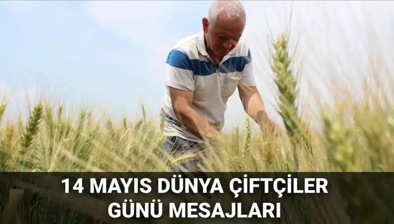 14 Mayıs Dünya Çiftçiler Günü: Emekleriyle Toprağa Can Verenlere Özel Mesajlar