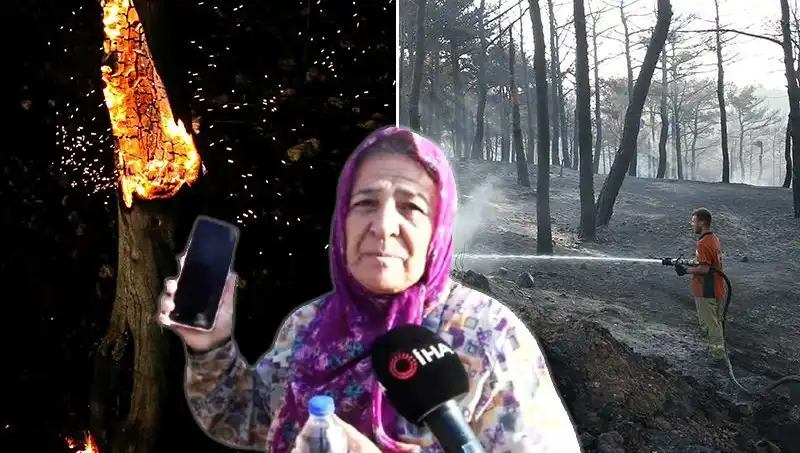 Çanakkale Orman Yangınları Kontrol Altına Alındı: Kayıplar ve Kurtuluş Mücadelesi