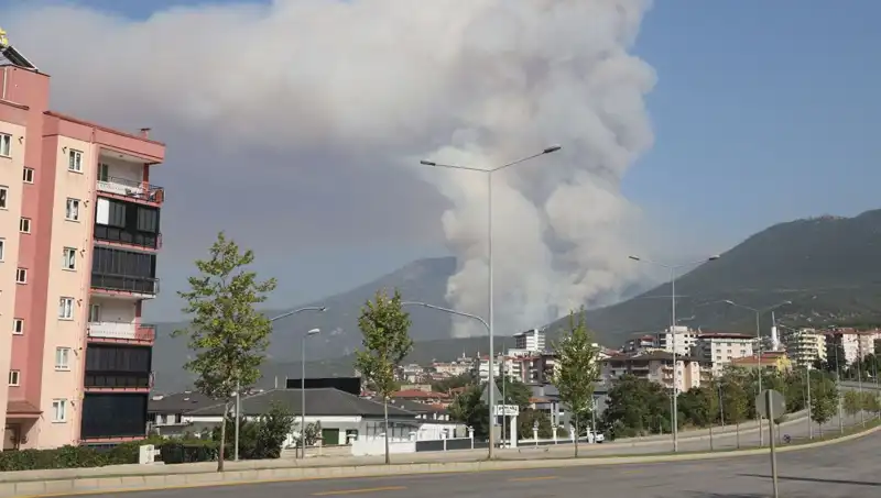 Denizli'de Orman Yangını: Şüpheli Gözaltına Alındı, Merak Edilen Nedenler Neler?
