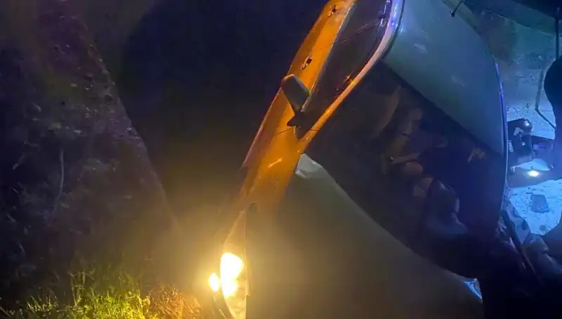 Adana'da Otomobilin Şarampole Devrilmesi Sonucu İki Yaralı