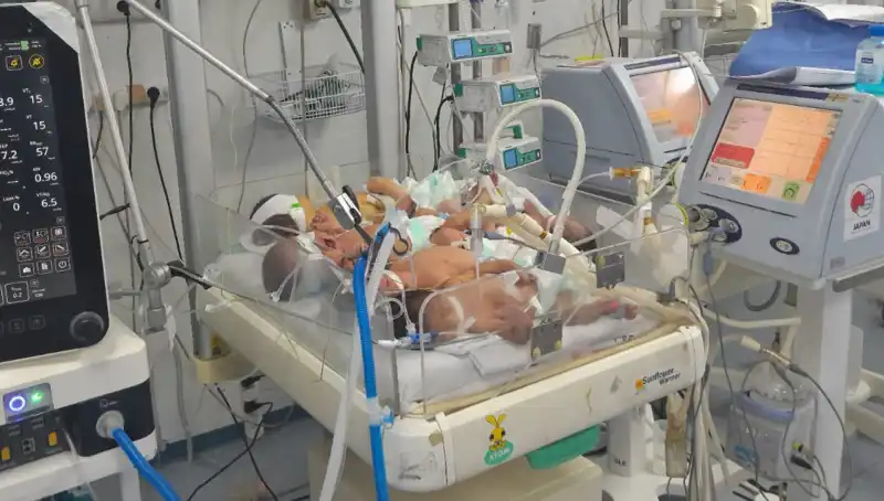 Gazzeli Doktorların Çağrısı: Çoklu Bebekler Tek Kuvözde Yaşamak Zorunda Kalmış