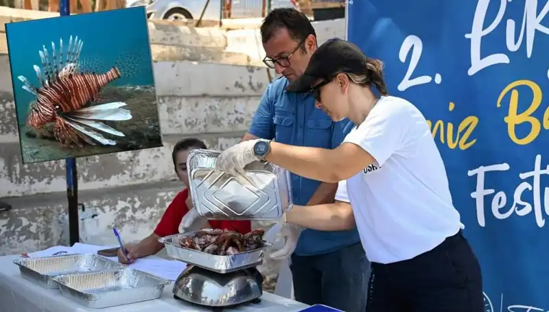 Antalya'da İstila Aslan Balığı Avlama Yarışması: Doğa ve Rekabet Buluşuyor