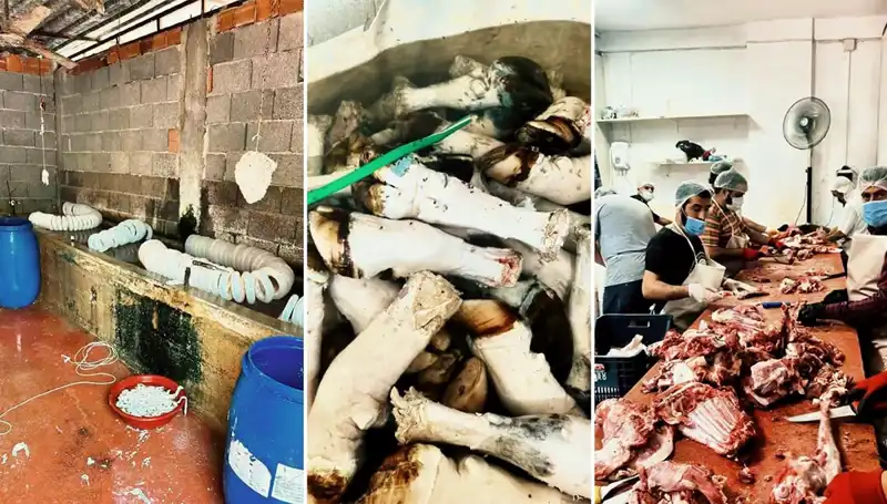 Adana'da Şok Edici Paça Ele Geçirildi: Yüzlerce Kilo Mide Bulandırdı!