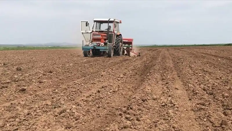 Son 35 Yılda Mart Ayı En Kuru Geçti: Yağışlar Yüzde 59 Düştü