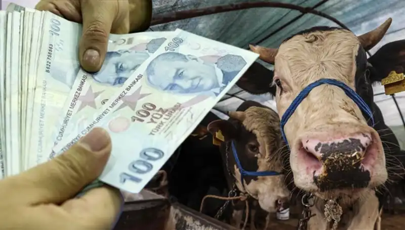 Maaşlar Bayram Öncesi Yatacak mı? Emekli ve Memurlar Ne Zaman Ödeme Alacak?