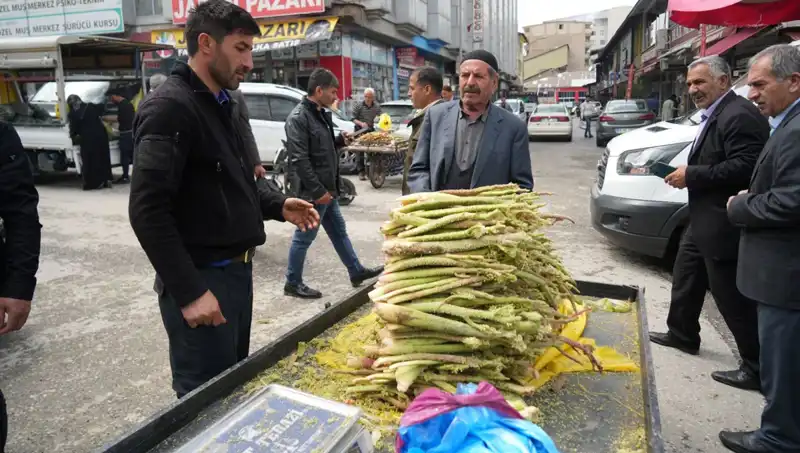 Doğanın Şifalı İksiri: Dağlık Alandan Toplanan Şekerin Mucizevi Faydaları