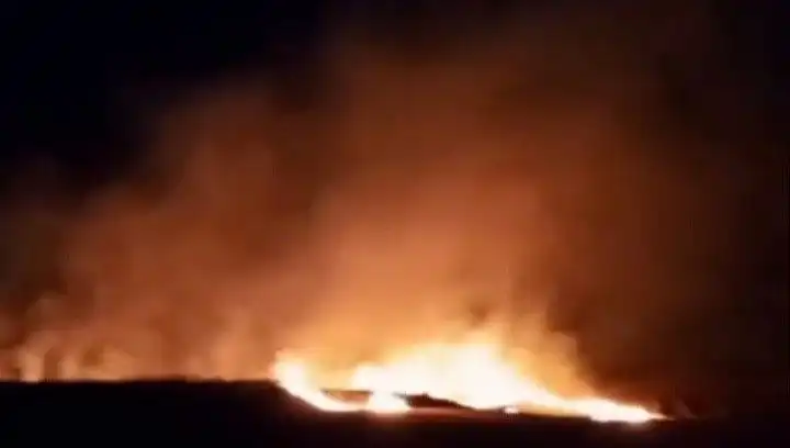 Tekirdağ'da 20 Dekar Buğday Tarlasının Kül Olması: Yangının Sebepleri Neler?