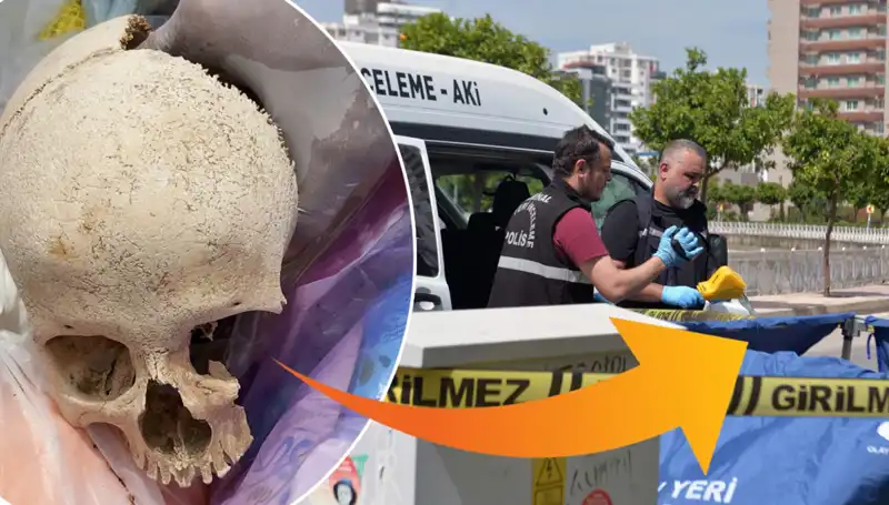 Sitenin Çöpünden Kafatası Bulundu! Uzman Doktor Gözaltında