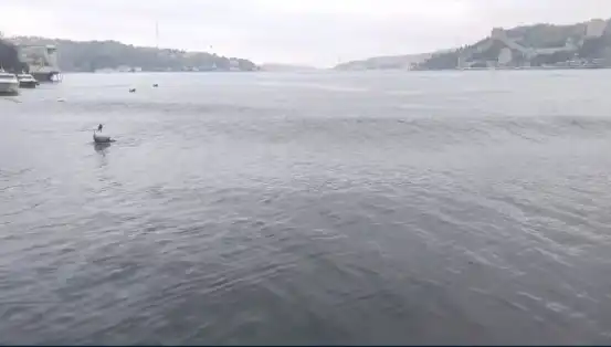 İstanbul'u Sallayan Deprem: 6,2 Büyüklüğündeki sarsıntı denizde dalgaları kabarttı!