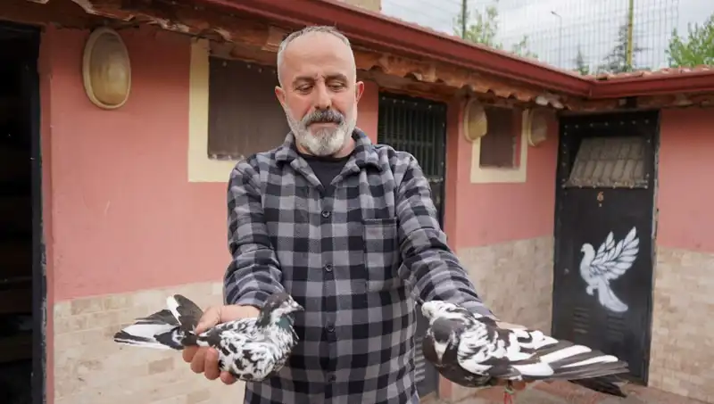 42 Yıllık Hobi, Profesyonel Tesise Dönüştü: İl Dışından Yoğun Talep Var