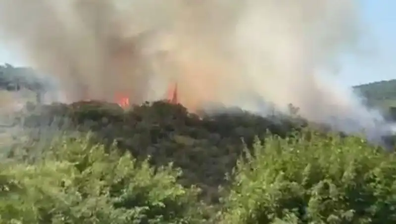 İstanbul'da Şiddetli Orman Yangını: Vatandaşların Tahliyesi Başlıyor
