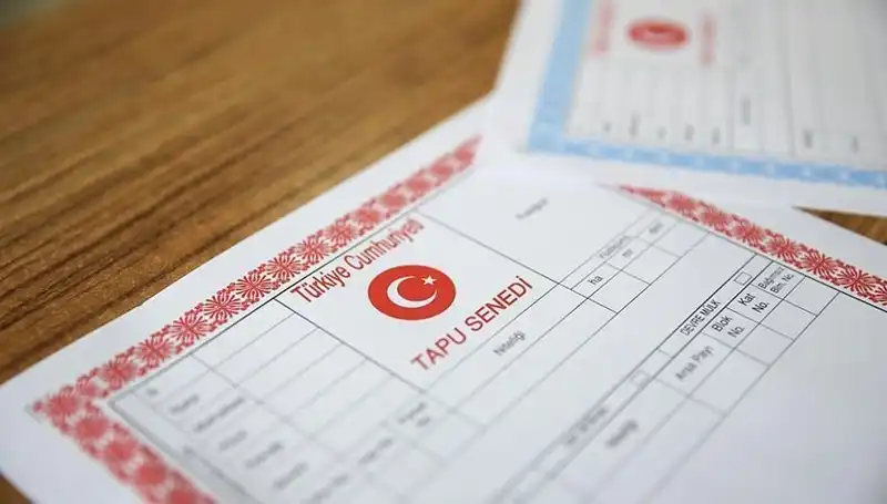 100 Milyonluk Çark Deşifre Oldu: "Hisseli Tapu" Tuzakları Açığa Çıktı