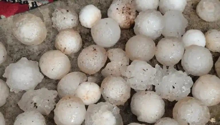Şanlıurfa'da Kar Topu Büyüklüğünde Dolu Yağışı Şok Etti!